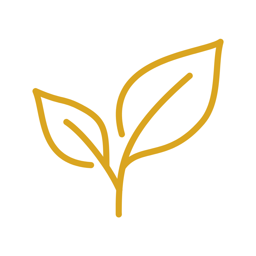 Hilfe zur Selbsthilfe Icon